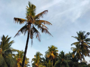 Delta Paradise